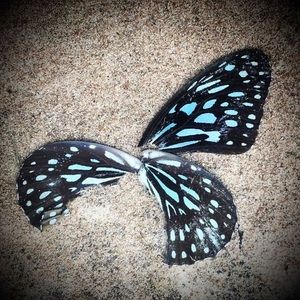 Meet your Posher, Tenzin